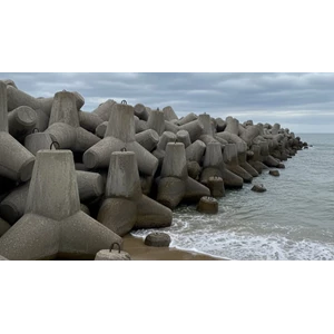 Tetrapod