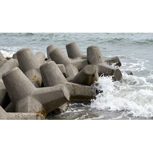 tetrapod di pesisir daratan